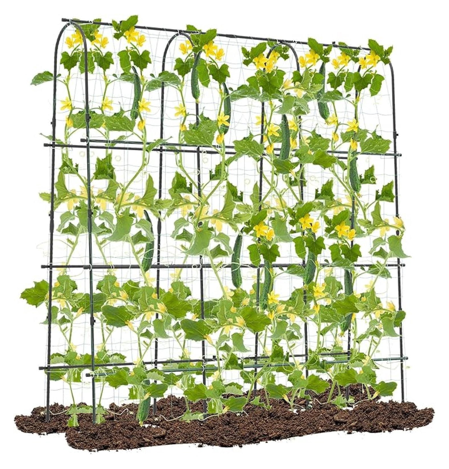 71" x 71" Cucumber Trellis for Raised Bed, Garden Arch Trellis Metal Plant Support Frame with Netting, Sure-Clips & Ground Stakes, U-Shaped Garden Trellis for Climbing Plants Outdoor