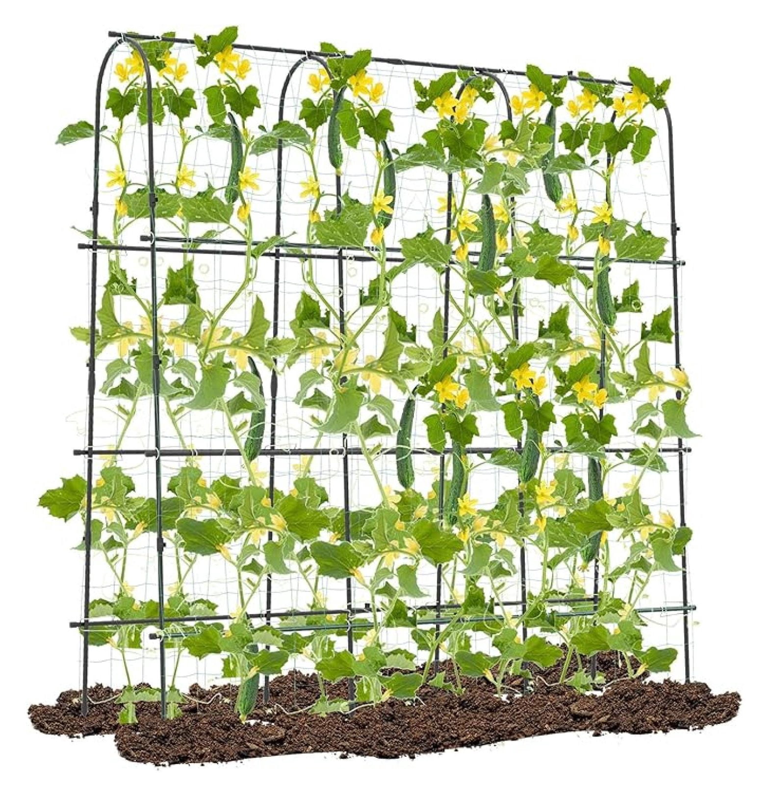 71" x 71" Cucumber Trellis for Raised Bed, Garden Arch Trellis Metal Plant Support Frame with Netting, Sure-Clips & Ground Stakes, U-Shaped Garden Trellis for Climbing Plants Outdoor