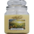 719 Walnut Avenue Field of Sunshine Candle, 14 oz