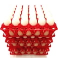 thumbnail image 1 of 72 RITE FARM PRODUCTS 30 EGG POLY CHICKEN TRAYS SHIPPING CARTON POULTRY FLAT, 1 of 4