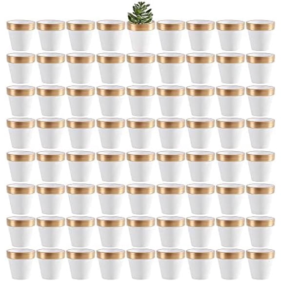 72 pcs Small Mini White&Gold Clay Pots, 2.5'' Terracotta Pot Clay Ceramic Pottery Planter,Cactus Flower Terra Cotta Pots,Succulents Nursery Pots,with Drainage Hole,for Crafts,Wedding Favor