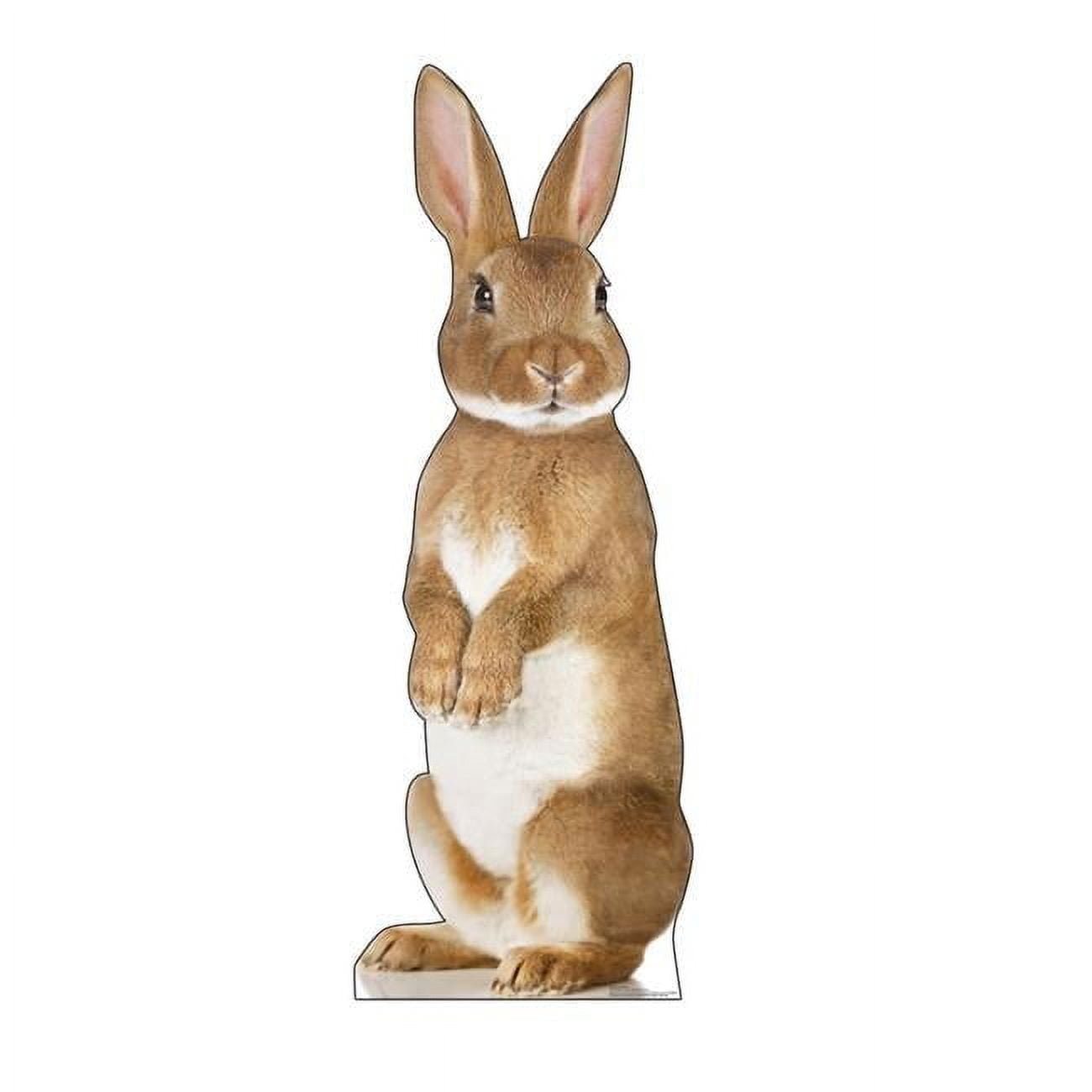 72'' Brown and White Bunny Rabbit Cardboard Standup