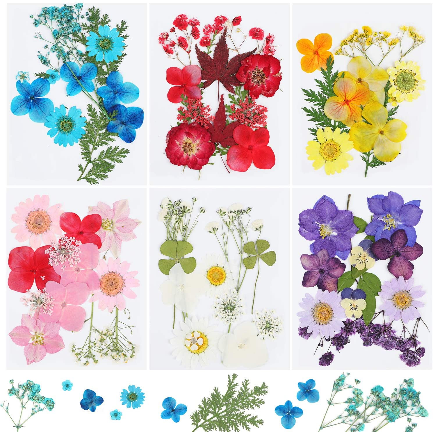 72Pcs Real Dried Pressed Flowers for Resin, Natural Colorful Dried ...