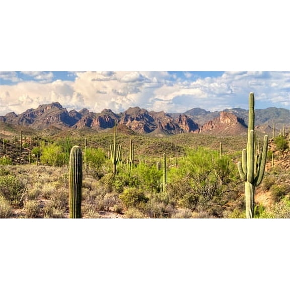 72X18IN, Reptile Habitat Background, Mountain Blue Sky Oasis Cactus Terrarium Background with 8 EVA Double-Sided Tape
