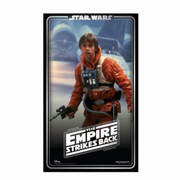 73 x 44 in. Luke Skywalker Backdrop Cardboard Cutout, Star Wars - 40th - Empire Strikes Back