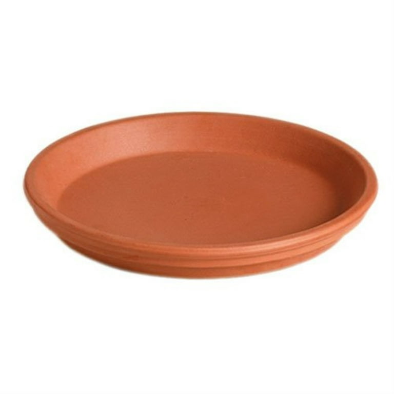 Deroma 4 in. H X 4 in. D Clay Traditional Planter Terracotta Deroma 4 in. H X 4 in. D Clay Traditional Planter Terracotta