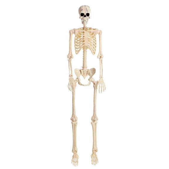 74" Poseable Frankenstein Skeleton Decoration