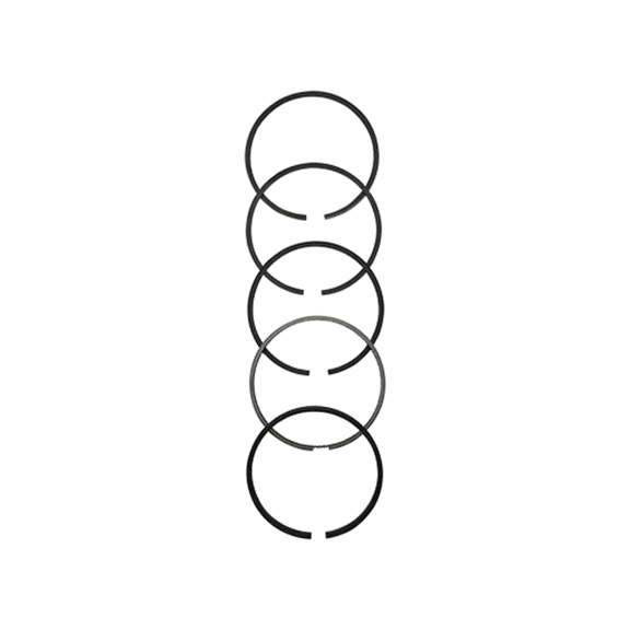 745760M91 Ring Set, Individual for Massey Ferguson Tractors 175 180+