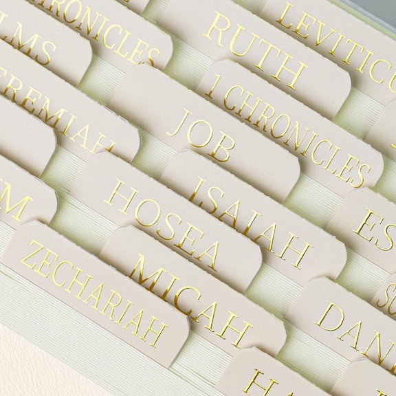 75 Laminated Bible Tabs for Women and Men, Large Print Study Bible Index Tabs with Gold Foil Embossed, Neutral Bible Book Tabs for Easy Navigation, Durable Bible Journaling Accessories