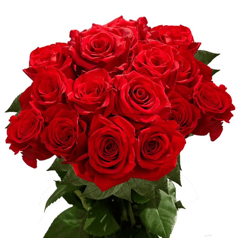 Best Cut Flower Rose Varieties Best Flower Site