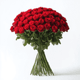 thumbnail image 1 of 75 Long Stem Assorted Red Roses- Beautiful Fresh Cut Flowers for Valentine's Day- Express Delivery, 1 of 5