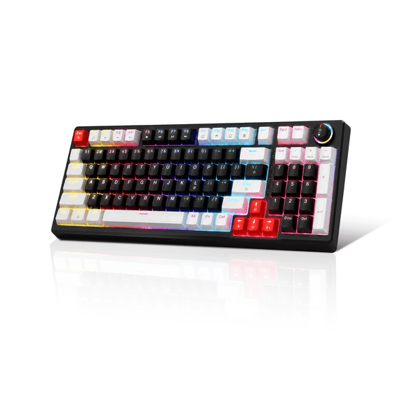 Mechanical Gaming Keyboard, Blue Switch, LED RGB Backlit, 98 Keys Compact Wired Computer Keyboards for Windows Laptop PC Gamer