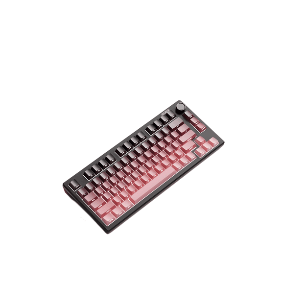 75% Mechanical Keyboard with RGB Backlight, Hot Swappable Switches, Volume Knob, 1PC