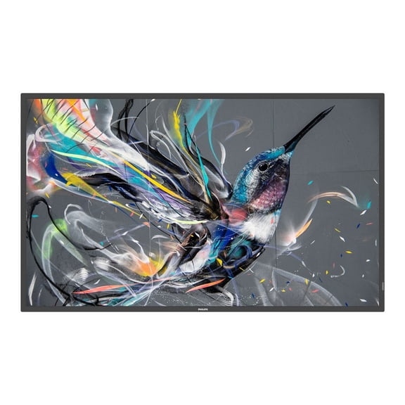 75" Q Line Prosumer Android