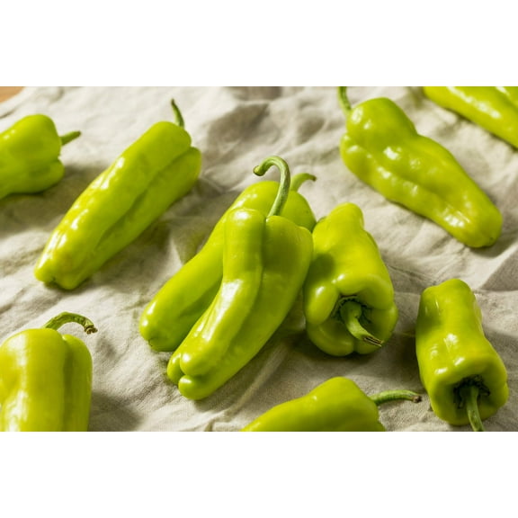 75 Seeds CUBANELLE PEPPER (Italian Sweets / Banana Pepper / Italian Frying Pepper) Capsicum Annuum Vegetable Seeds