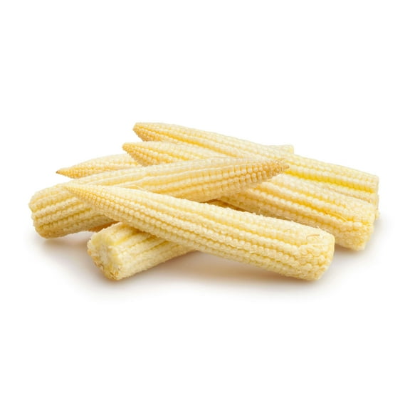 75 Seeds Japanese WHITE HULLESS POPCORN or Baby Corn Zea Mays Heirloom Vegetable Seeds