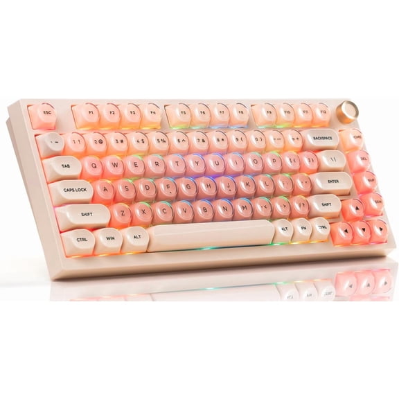 75% Wireless Mechanical Keyboard with Bluetooth 5.0 2.4GHz USB-C Hot Swappable Linear Switches Gasket Mount RGB Backlight Pink