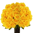 thumbnail image 1 of 75 X Long Stem Assorted Yellow Roses- Beautiful Fresh Cut Flowers- Express Delivery, 1 of 5