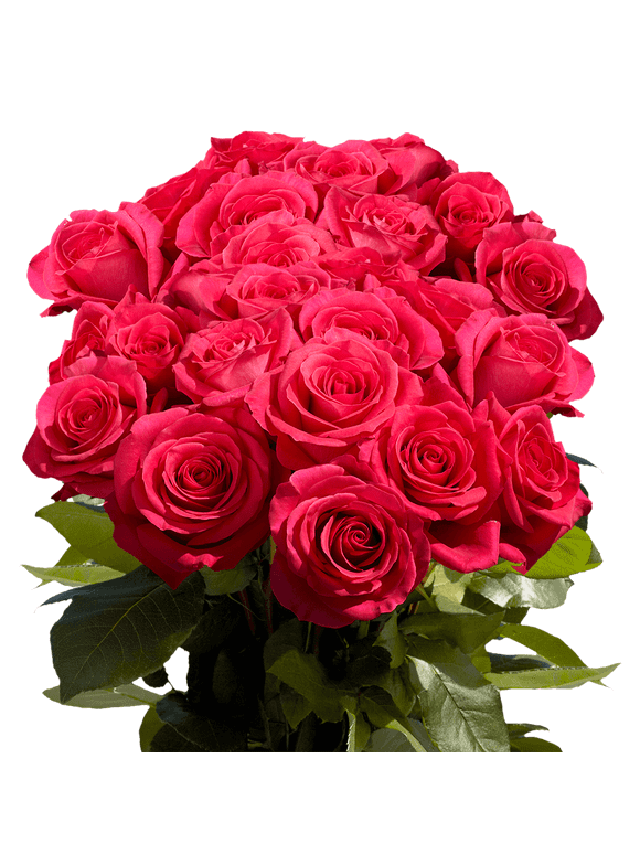 All Flowers in Flower Shop - Walmart.com
