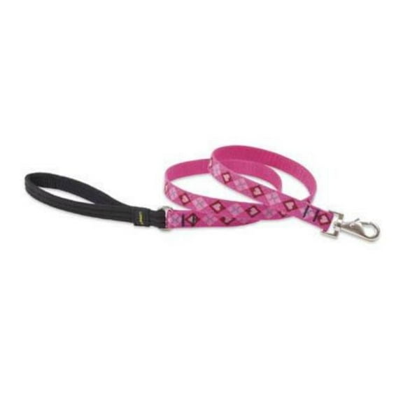 75 in. Puppy Love 6 ft. Padded Handle Dog Leash