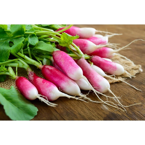750 Seeds FRENCH BREAKFAST RADISH Raphanus Sativus Vegetable Seeds