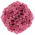 thumbnail image 1 of 750 Stems of Solid Lavender Color Roses- Beautiful Fresh Cut Flowers- Express Delivery, 1 of 5