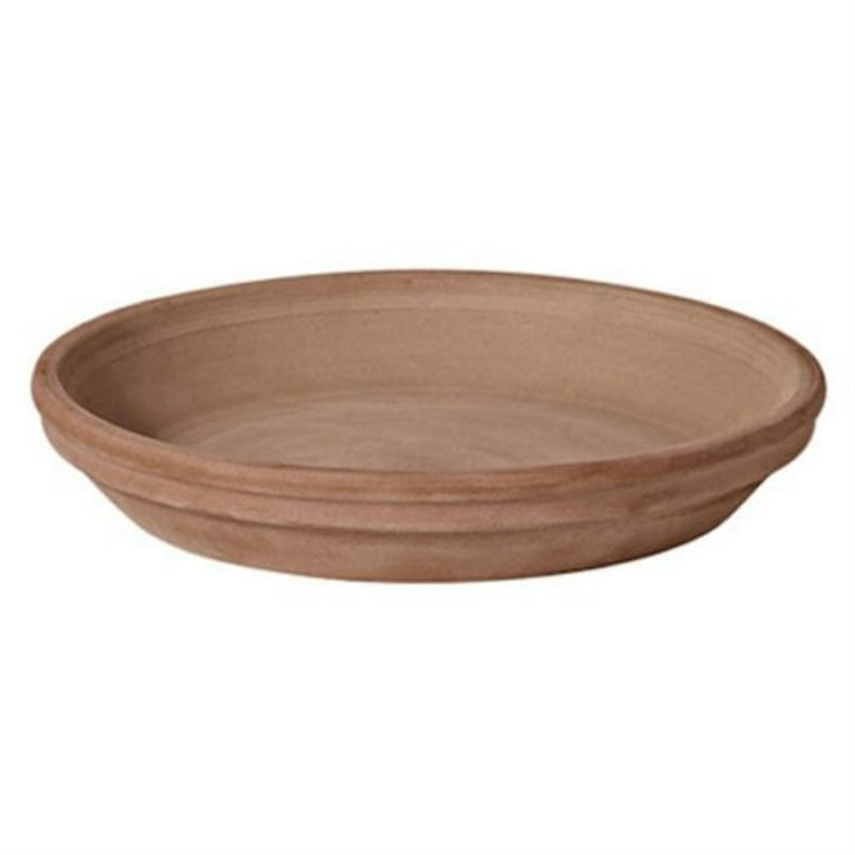 Deroma 1 in. H X 1 in. D X 6 in. D Clay Standard Plant Saucer Brown Deroma 1 in. H X 1 in. D X 6 in. D Clay Standard Plant Saucer Brown