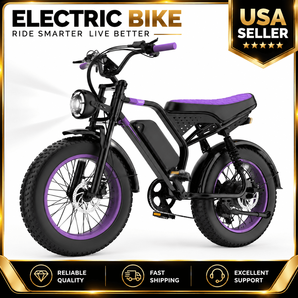 750W Electric Bike,48V 18Ah 20