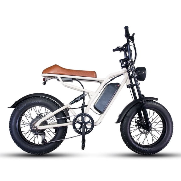 750W Electric Bike for Adults 20X4.0 Fat Tire Off-Road E bike Mountain Bike for Outdoor Cycling