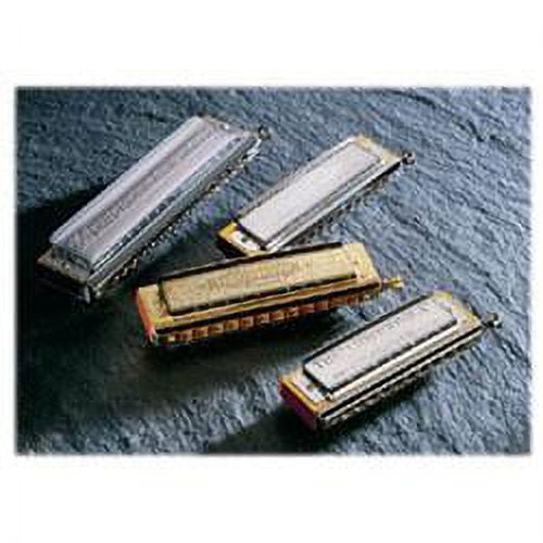 7538 48 Toots Mellow Tone Chromatic Harmonica