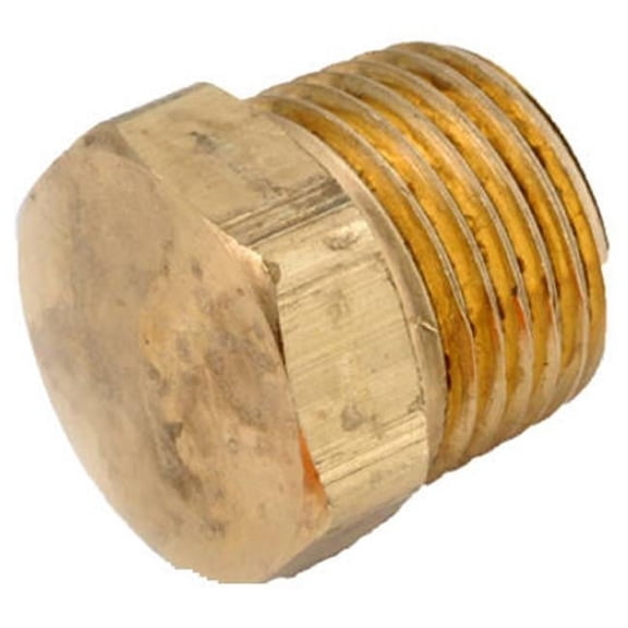 756121-06 .38 in. Brass Hex Plug