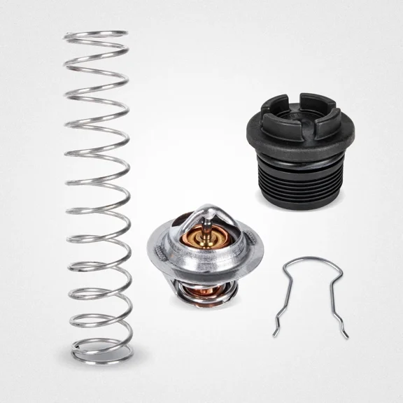 77707-0010 Direct Replacement Regulator Kit Compatible with Pentair MasterTemp and Sta-Rite Max-E-Therm, Rapid Heating to Target Temperature, 1 Kit