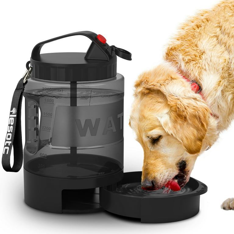 Is Bottled Water Safe For Dogs? BPA – Travfurler
