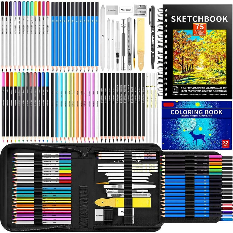 PANDAFLY 80 Pack Drawing Set Sketching Kit, Pro Art Supplies with 3-Color  Sketchbook, Watercolor Pad, Colored, Graphite, Charcoal, Metallic Pencil,  for Artist Adults Kids Beginner