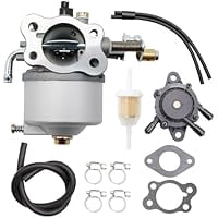 796122 Carburetor Carb Kits Compatible with Briggs-Stratton 20A113 ...