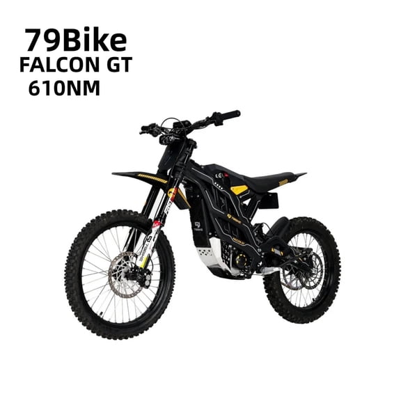 79BIKE Falcon GT 16.8kW Electric Off-Road Motorcycle – 72V 40Ah Battery, 65 MPH Max Speed, 75 Miles Range, Lightweight Design