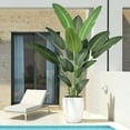 thumbnail image 1 of 7FT Artificial Silk Bird of Paradise Tree with 19 Leaves, Faux Banana Leaf Plant 82 Inch Large Fake Tropical Tree with Black Pot for Home Patio Poolside Garden Indoor Outdoor Decor, 1 of 7