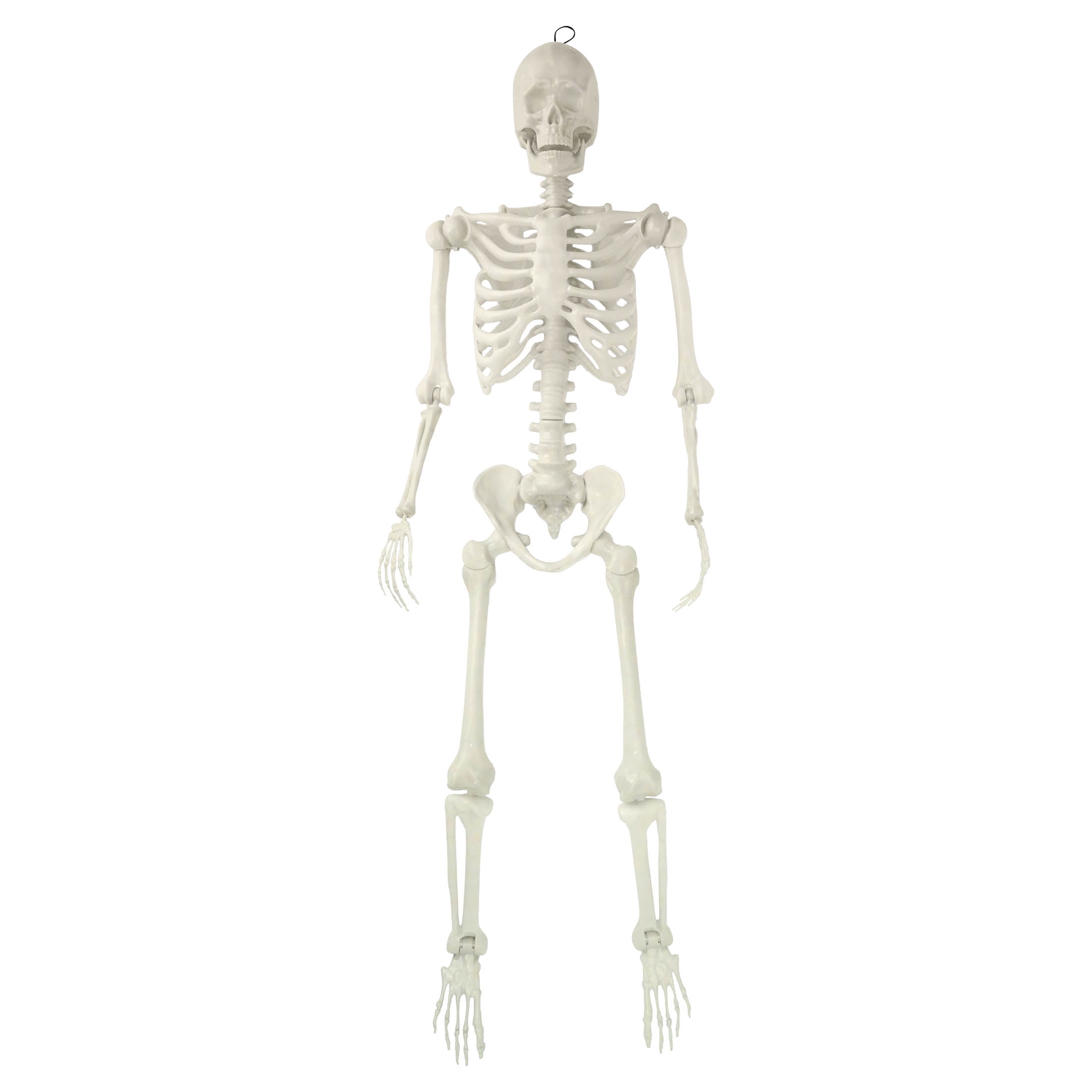 Hanging Posable Skeleton Decoration, White, 7', Halloween by Way To Celebrate