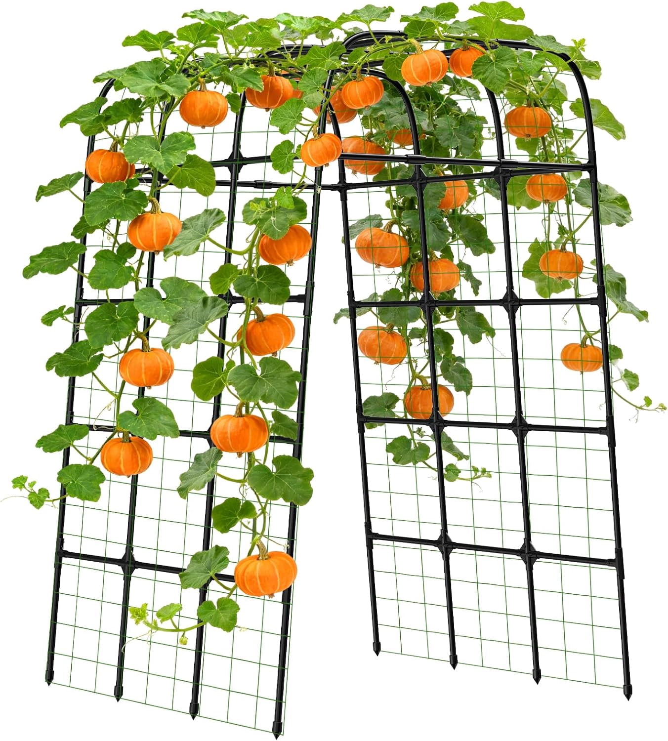 7FT Garden Trellis Arch for Climbing Plants – Tall Outdoor Metal Trellis for Vegetables, Peas, Tomatoes,﻿ Cucumber Trellis Arch & Vertical Garden Climber Plant Support for Vine Plants