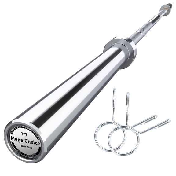 7FT International Competition Barbell (45LB Alloy Steel, 1500LB Max Load) – 47" EZ Bar + 4FT Short Bar, Fits 2" Weight Plates for Home Strengths Training - Silver