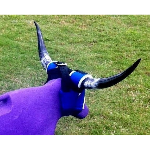 7K Something Dummy Real SuperHorns
