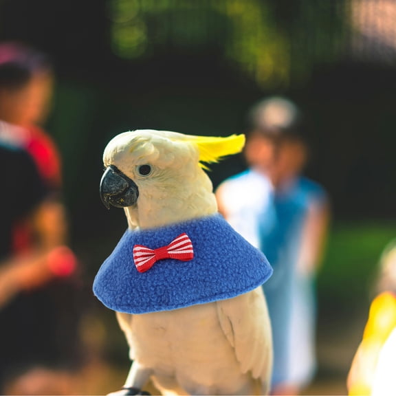 7Pcs Parrot Cone Collar Lightweight Ergonomic Bird Neckwear for Home Recovery and Plucking Prevention