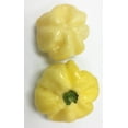 thumbnail image 1 of 7Pot White Pepper Premium Seeds Packet, 1 of 1