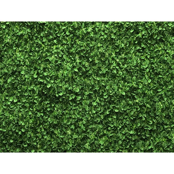 7X5Ft Green Leaves Backdrop Greenery Leaf Wall Background Jungle Theme Baby Show