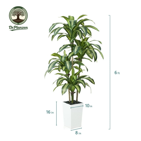 DR.Planzen 6ft UV Resistant Artificial Dracaena Tree with White Tall Planter, Pre Potted Fake Plants for Indoor Outdoor Home Decor, Big Faux Tree Fake Plants for Office House Decor
