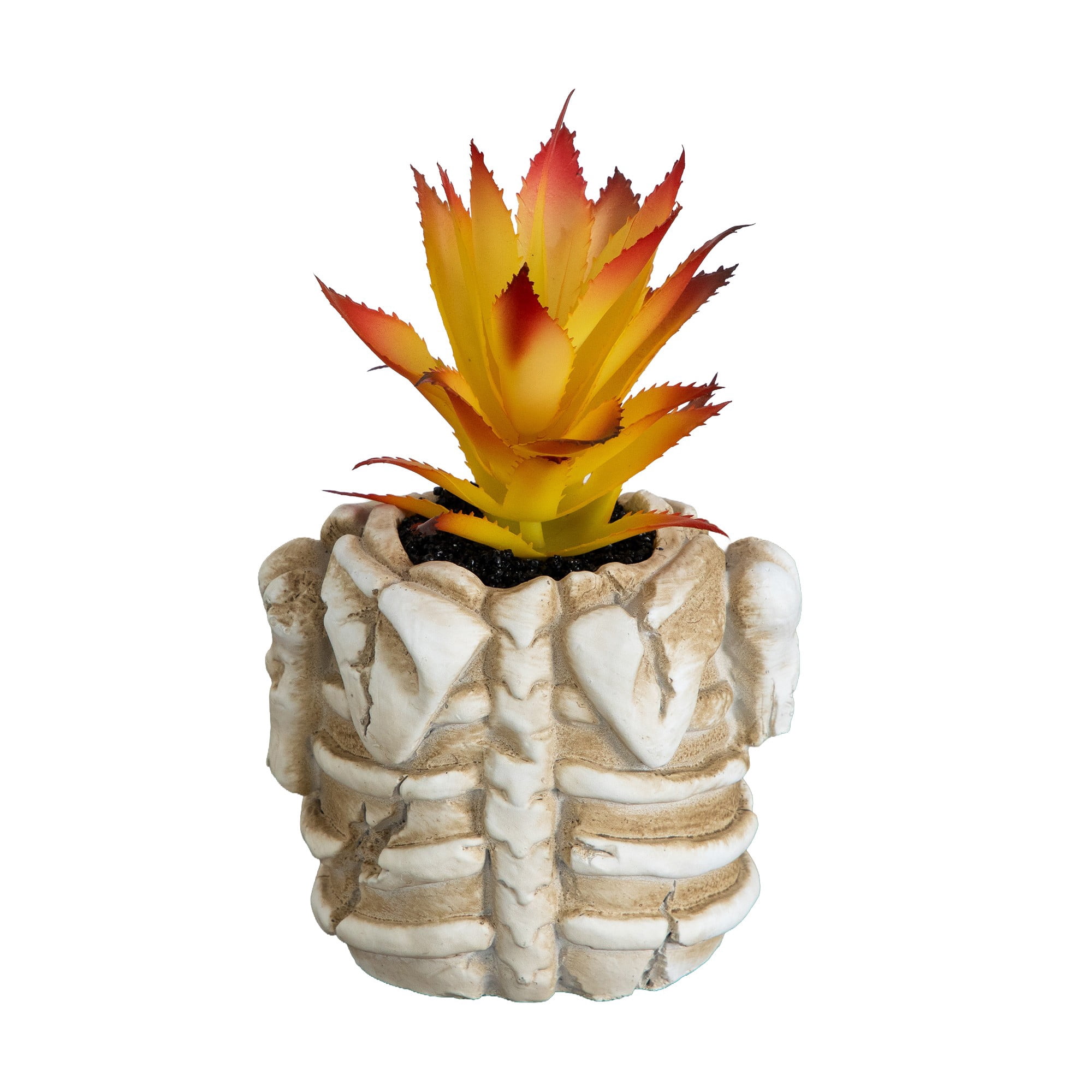 7in. Artificial Halloween Succulent Plant in Skeleton Planter