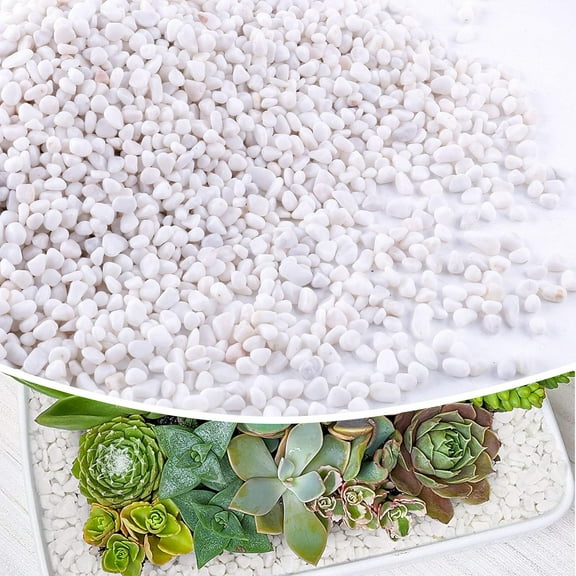7lb 1/4" Small White Rocks for Plants,Potting,Succulents Aquarium Fish Tank Garden Vases Decorative Pebbles Gravel Rocks Stones