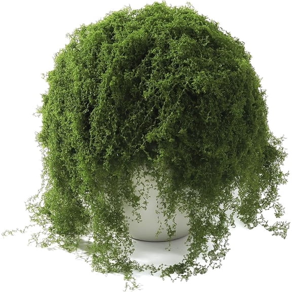 7oz Dark Green Artificial Moss