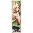 thumbnail image 1 of 7x34 Frame Gold Bronze Modern Solid Wood Picture Frame | 0.75 Inch Moulding Width | Includes UV, 1 of 8