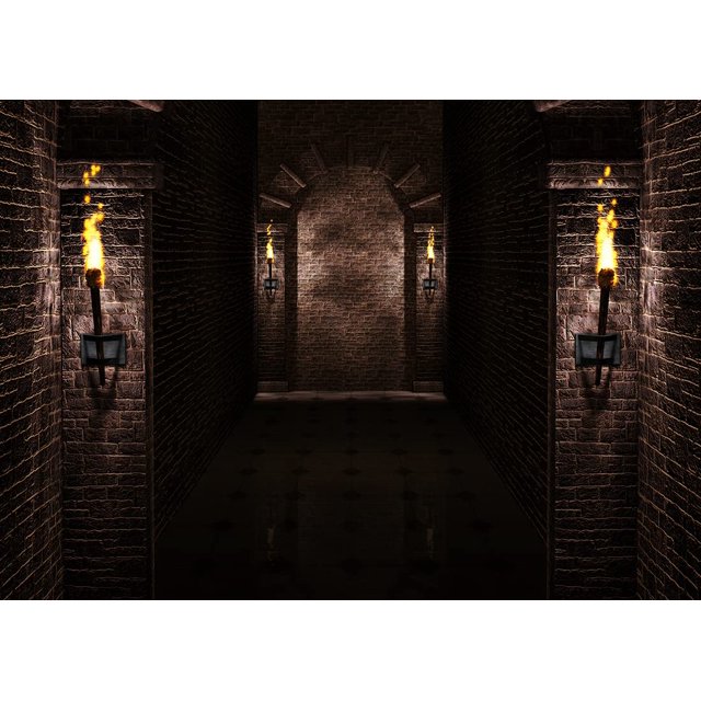 7x5ft Fabric Gothic Castle Backdrop Ancient Black Brick Stone Wall